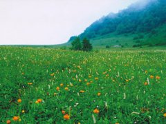 門頭溝百花山乘車線路,百花山自駕車線路圖圖片