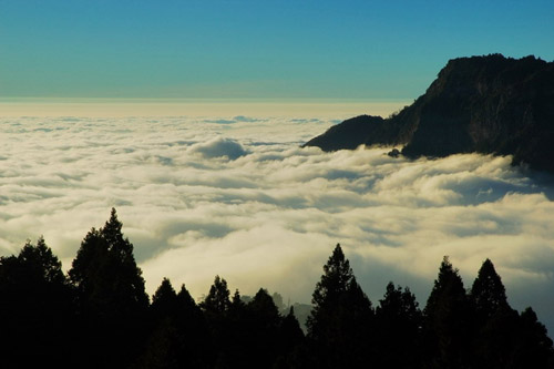 臺灣阿里山圖片圖片