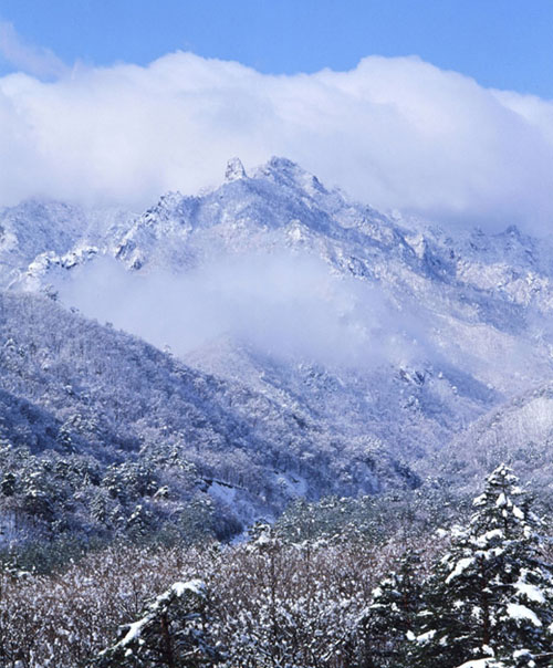 醉美韓國雪岳山圖片